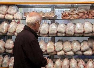 استمرار ثبات نرخ مرغ در بازار، جوجه ریزی شب عید در معرض خطر است